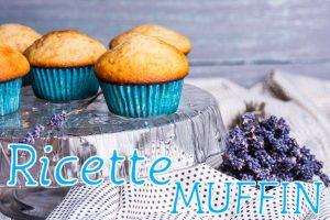 muffin