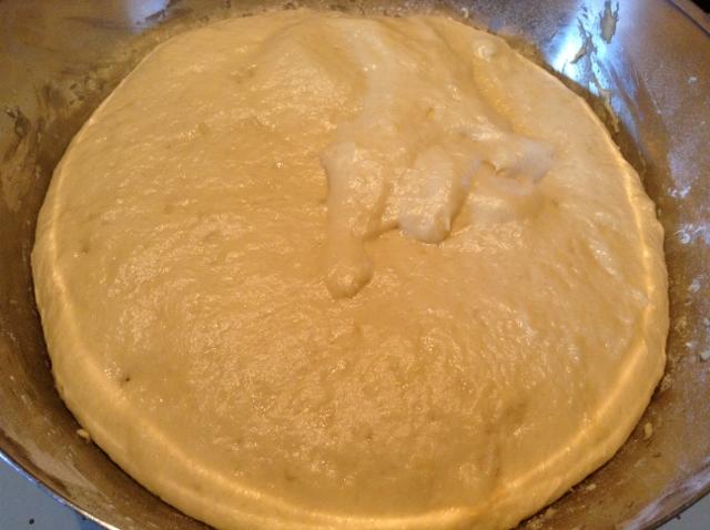 secondo impasto lievitato (640x478)