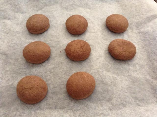biscotti tipo grisbì1 (2)