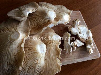 funghi pleurotus