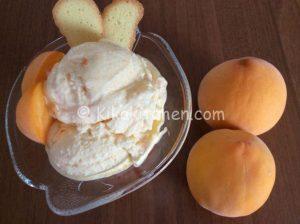 gelato alla pesca bimby