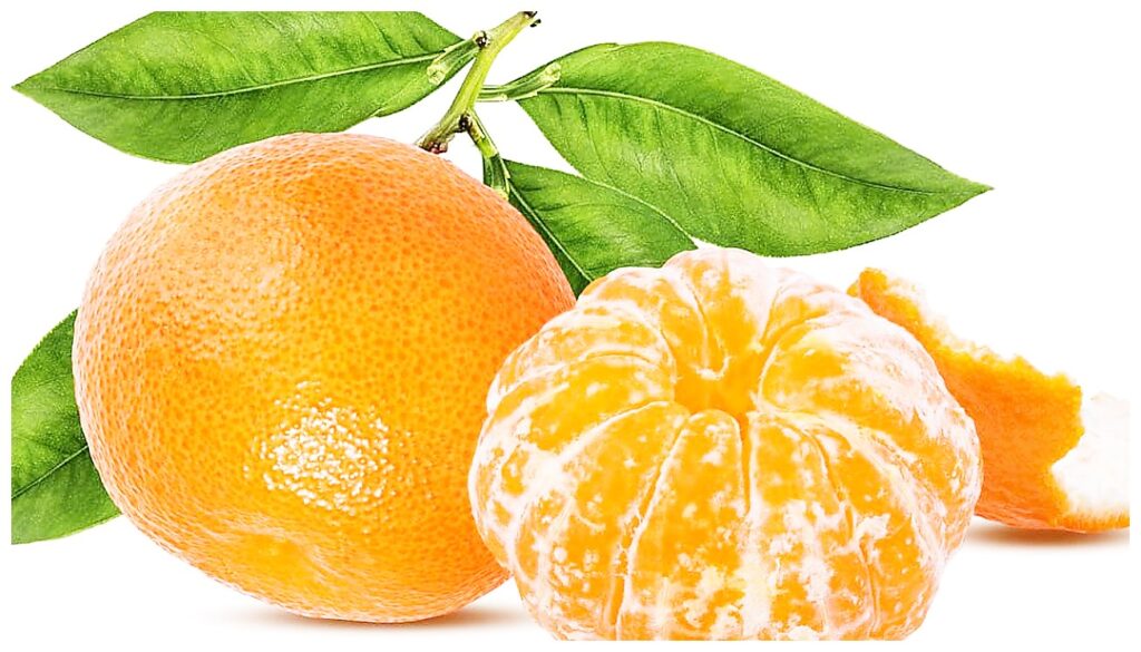 mandarini effetti sulla gastrite